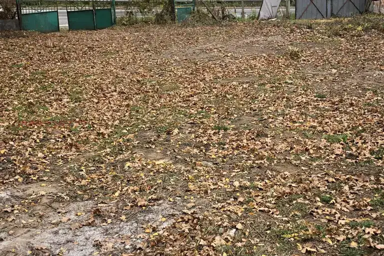 Парцел в София, Симеоново