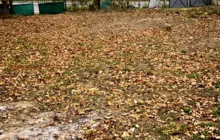 Парцел в София, Симеоново