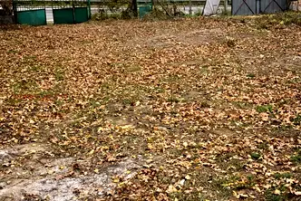 Парцел в София, Симеоново