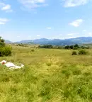 Парцел в Кърджали, с. Опълченско
