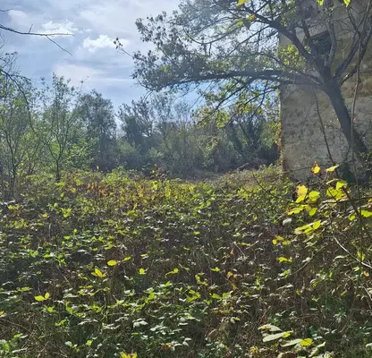 Photo 3 — Plot in Oblast Varna, Priselci