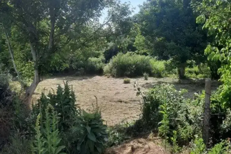 Plot in Oblast Veliko Tyrnovo, Debelec