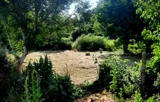 Парцел във Велико Търново, Дебелец