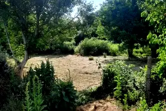 Парцел във Велико Търново, Дебелец