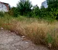 Снимка 4 — Парцел във Враца, Бяла Слатина