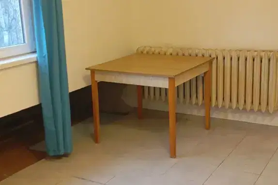 Склад в София, Дървеница