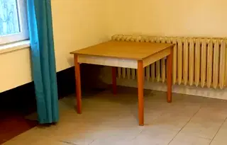 Склад в София, Дървеница