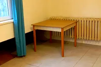 Склад в София, Дървеница