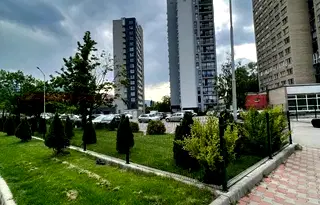 Склад в София, Дървеница
