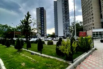 Склад в София, Дървеница