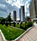Склад в София, Дървеница