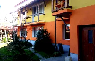 Стая в с. Лозен