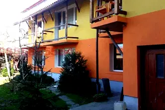 Стая в с. Лозен