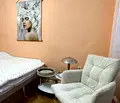 Снимка 4 — Стая в София, Банишора