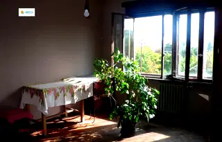Стая в София, Център