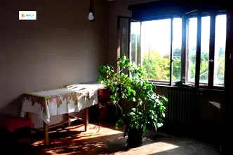 Стая в София, Център