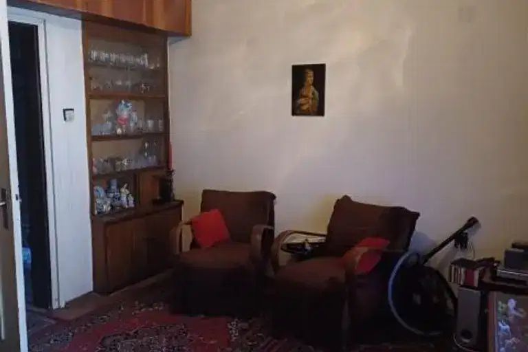 Стая в София, Център