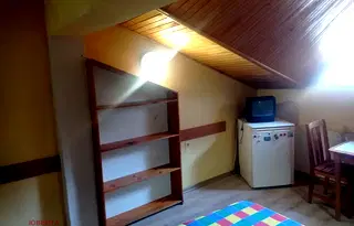 Стая в Русе, Дружба 3