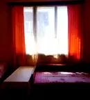 Стая в София, Оборище