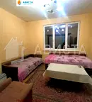 Стая в София, Оборище