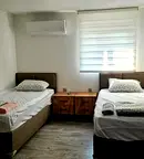 Стая в София, Ботев
