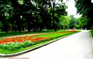 Тристаен апартамент в Пловдив, Център