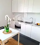 Тристаен апартамент в София, Център