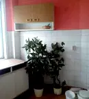 Заведение в Габрово, Център