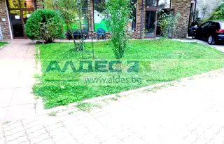 Заведение в София, Драгалевци