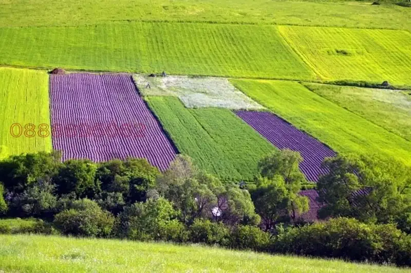 Agricultural Land in Oblast Dobrich, с. Коритен