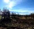 Снимка 3 — Парцел в Благоевград, с. Бачево