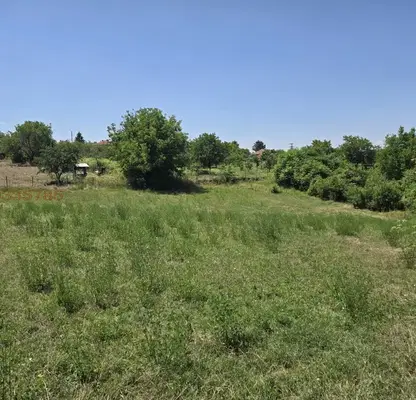 Photo 2 — Plot in Oblast Ruse, Vetovo