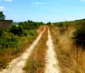 Снимка 2 — Парцел във Варна, с. Генерал Кантарджиево