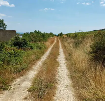 Photo 2 — Plot in Varna, General Kantardjievo