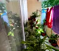 Снимка 3 — Многостаен апартамент в Пазарджик, Център