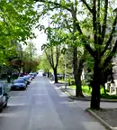 Многостаен апартамент в Силистра, Център