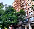 Снимка 3 — Многостаен апартамент в София, Младост 1
