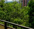 Снимка 3 — Многостаен апартамент в Стара Загора, Три чучура - център