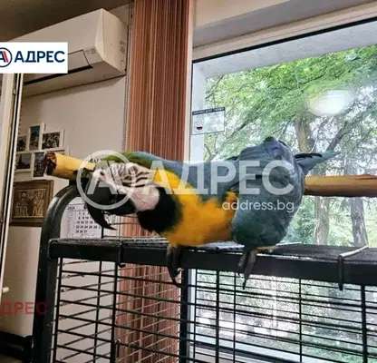 Снимка 5 — Просторен 4-стаен апартамент с две тераси във ВИНС-Червен площад, Варна