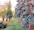 Снимка 3 — Двустаен апартамент в Перник, Център