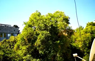 Двустаен апартамент в Стара Загора, Център