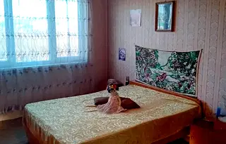 Двустаен апартамент в Перник, Център