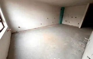 Двустаен апартамент в София, Дървеница