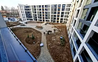 Двустаен апартамент в София, Дървеница