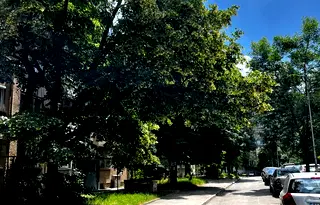 Двустаен апартамент в София, Света Троица