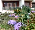 Снимка 5 — Двустаен апартамент във Варна, Виница