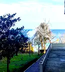 Двустаен апартамент в Бургас, Обзор