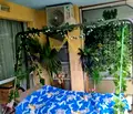 Снимка 5 — Двустаен апартамент в Бургас, Поморие