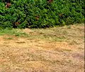 Снимка 4 — Двустаен апартамент в Бургас, с. Равда