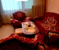 Снимка 2 — Едностаен апартамент в Шумен, Добруджански